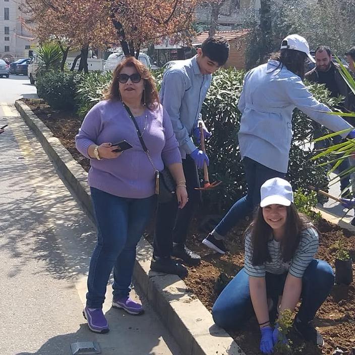 Planting the seedlings of roses in Aley