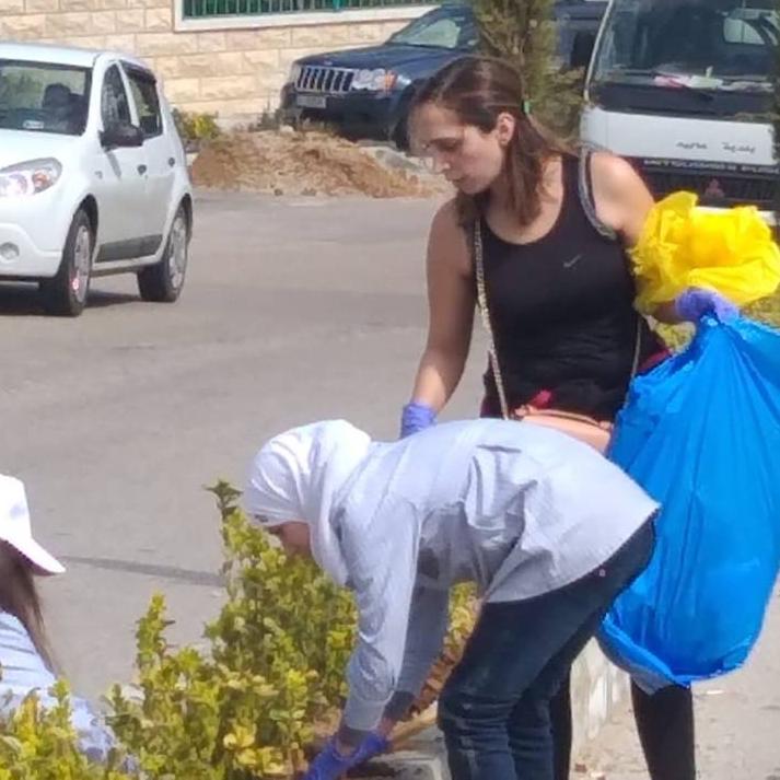 Planting the seedlings of roses in Aley