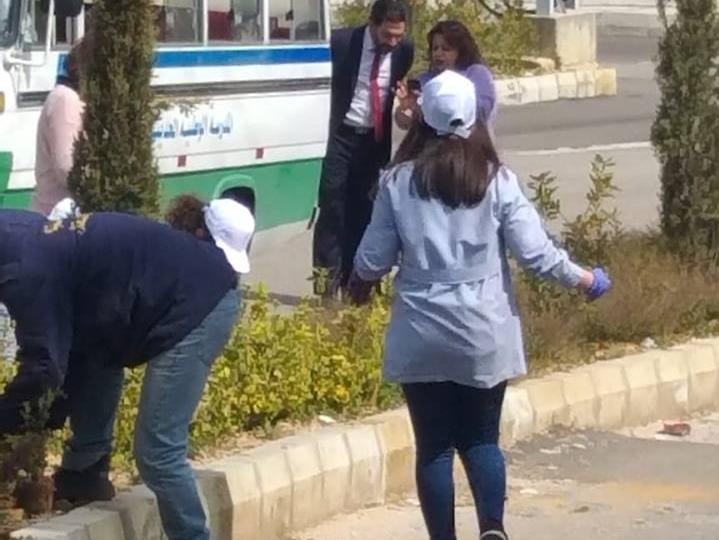 Planting the seedlings of roses in Aley