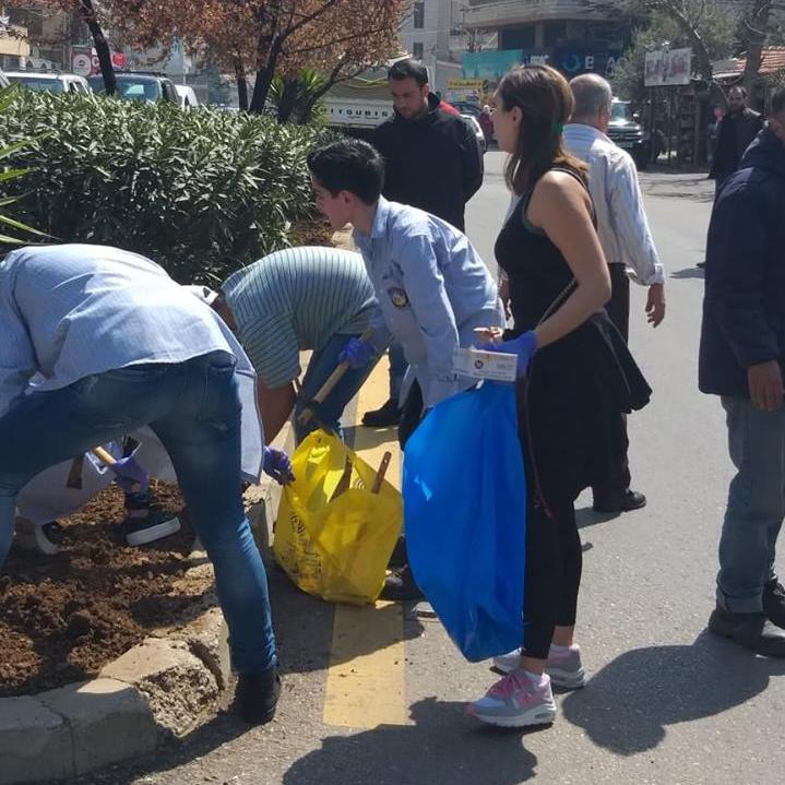 Planting the seedlings of roses in Aley